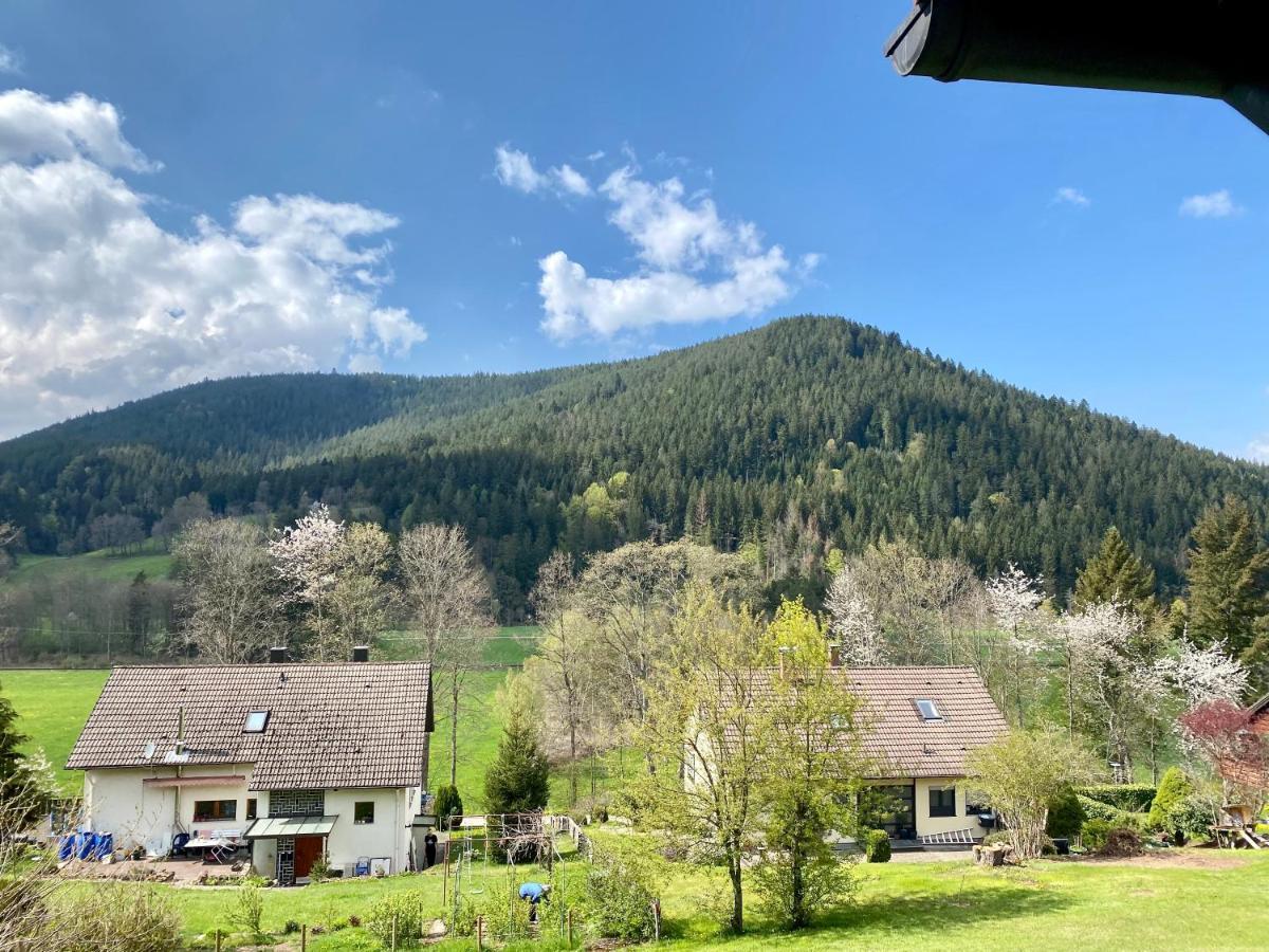 Black Forest Scenic Escape 拜尔斯布龙 外观 照片