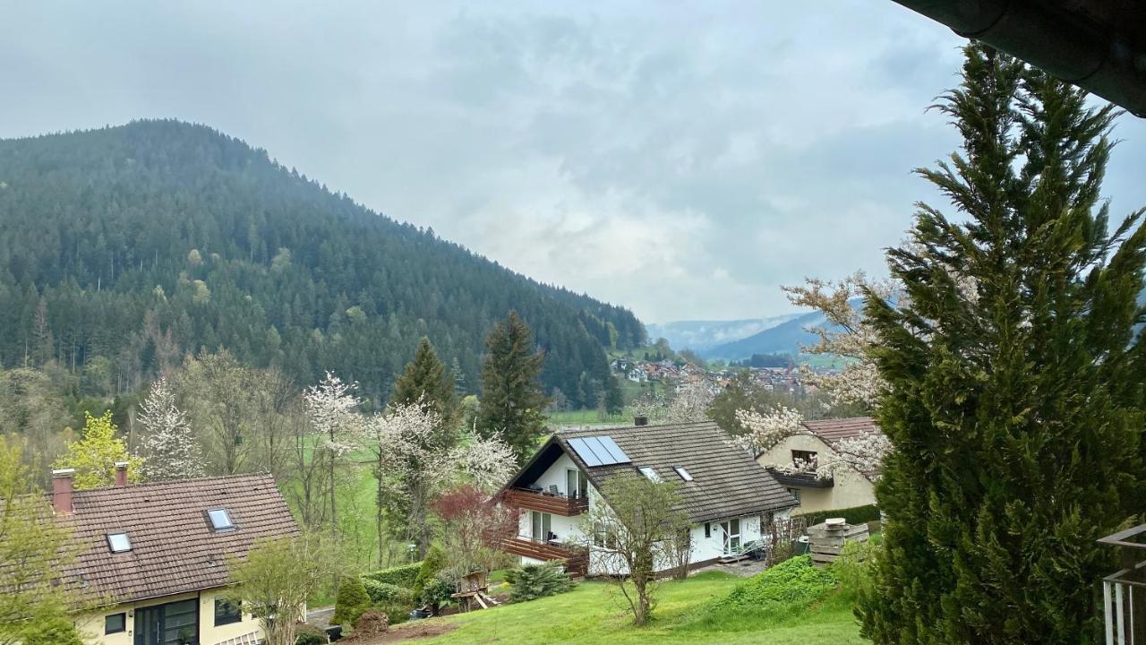 Black Forest Scenic Escape 拜尔斯布龙 外观 照片
